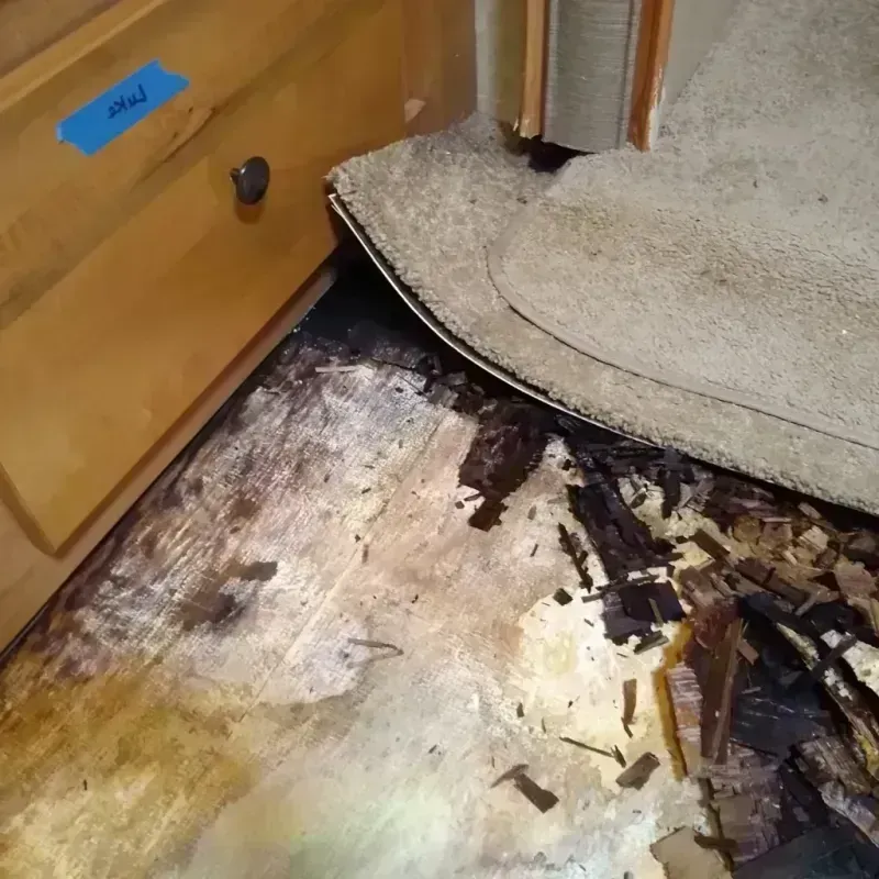 Wood Floor Water Damage in Trumbull County, OH